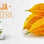 Gorka dinja kapsule + čaj gratis